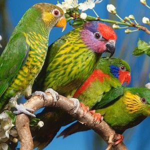 Meet your Posher, Rita